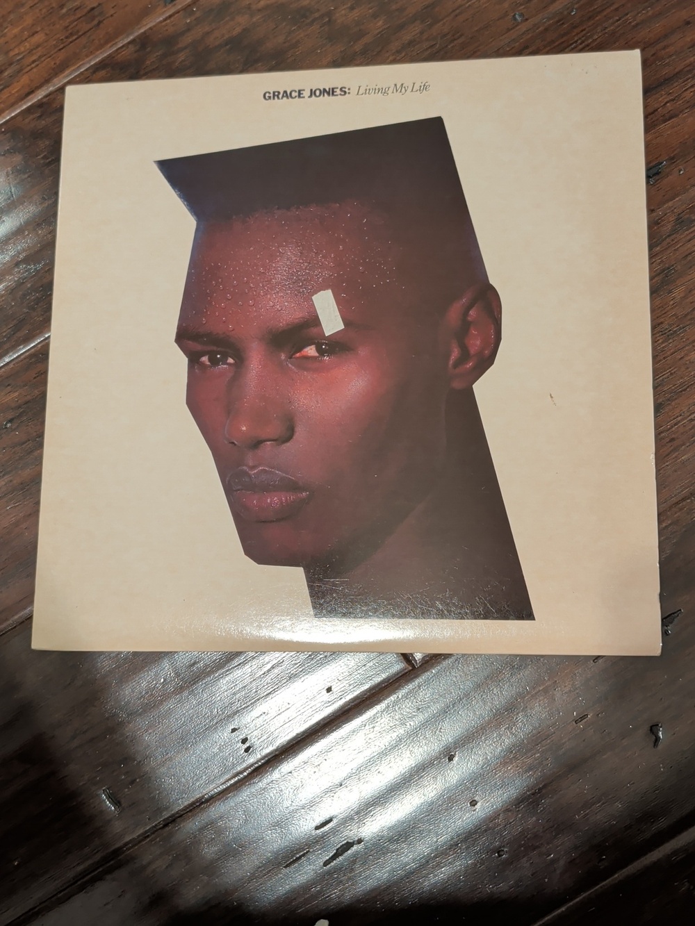 Grace Jones - “Living My Life” Vinyl LP
